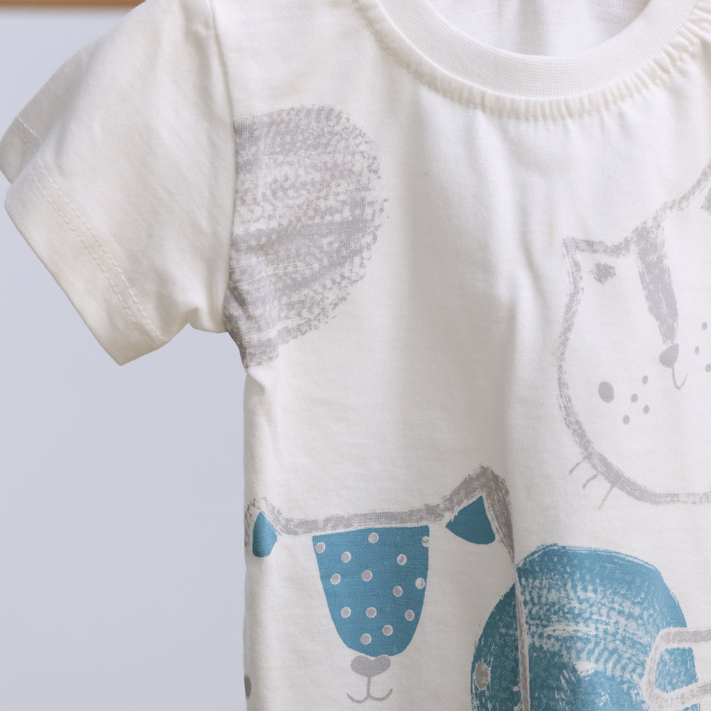 Playdate Set