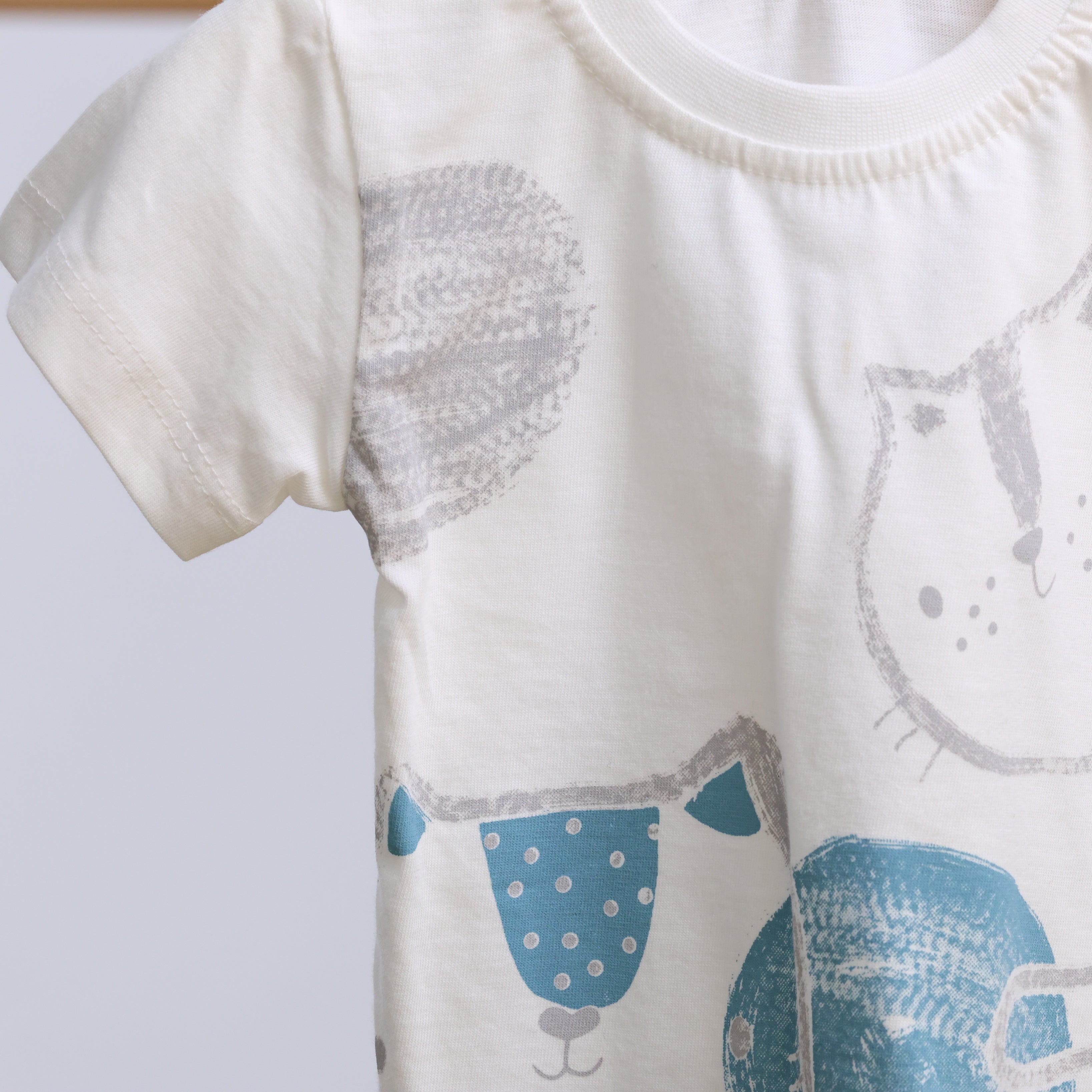 Playdate Set