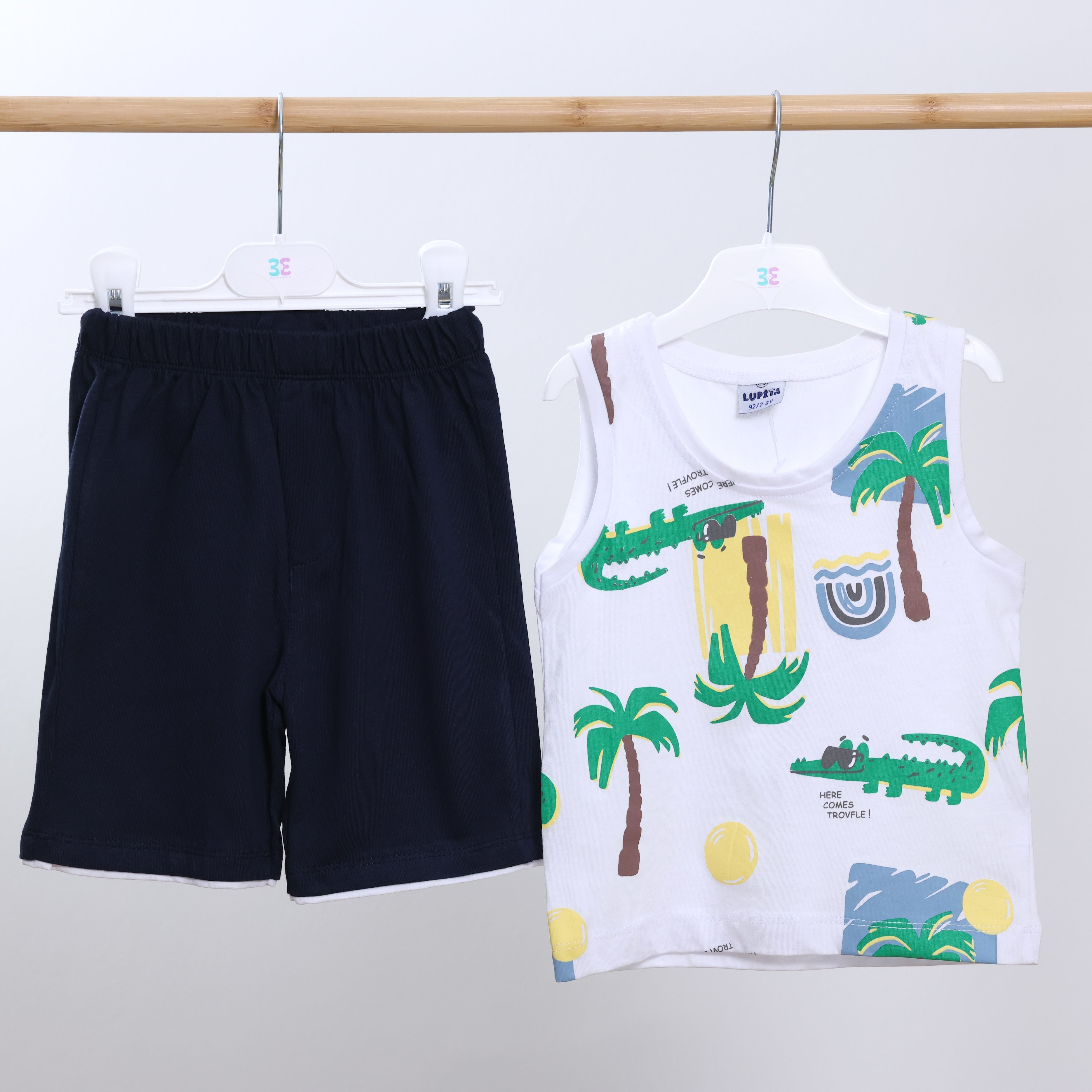 Tropical Dreams